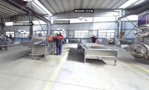 毛豆清洗設備與果蔬加工成套洗滌設備解析